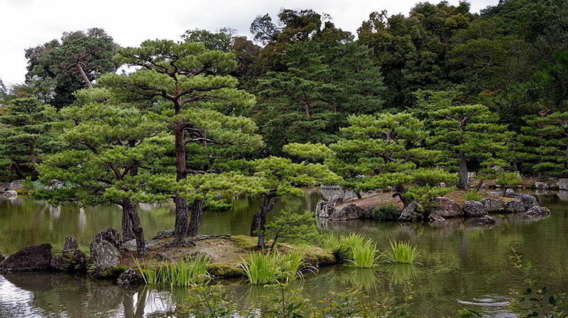 Jardim japonês de Kyoto