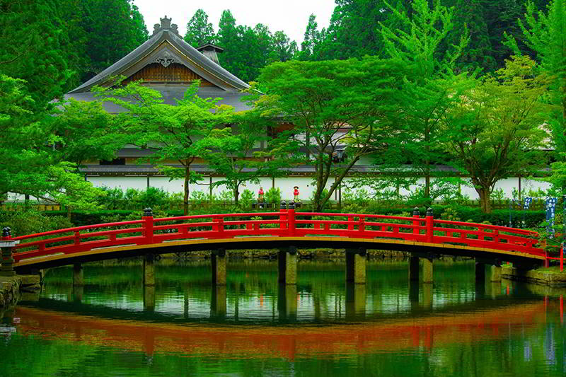 Ponte de jardim japonês